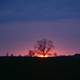 Sunset and purple sky landscape