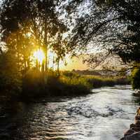 Sunset behind trees in the river landscape