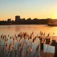 Sunset over the city lake landscape