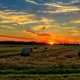 Sunset over the Horizon on the farmland