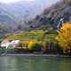 Terraces and houses on the lake