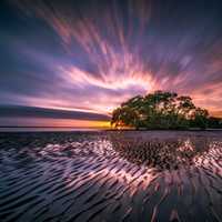 Time-Lapse landscape at dusk with water, sand, and tree