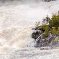 Torrential water pouring on island of trees