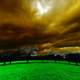 Trees on the lawn under heavy cloudy skies