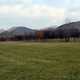 Trees, grass, and hill landscape