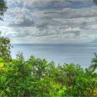 Tropical Ocean with plants and trees under heavy clouds
