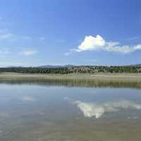 Wetlands and Ponds under the blue sky