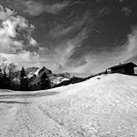 Winter Landscape in black and white