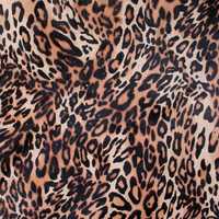 Leopard Skin Background Pattern