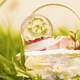 Basket with snow globe in grass