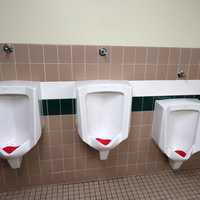 Bathroom Stalls in men's bathroom