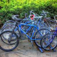 Bikes on a rack