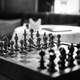 Chess Game free photo