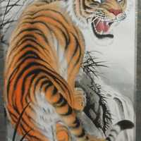 Chinese Style Tiger Drawing