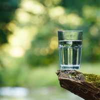 Clean Water on a log