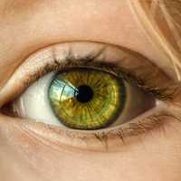 Closeup of Green Eyeball