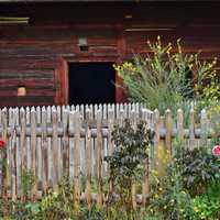 Cottage Garden with fence