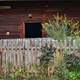 Cottage Garden with fence