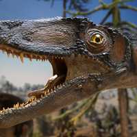 Dinosaur Head opening mouth