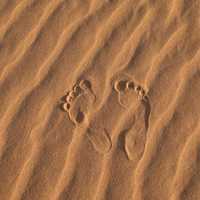 Footprints in the Sand