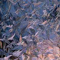 Frost crystals and shapes