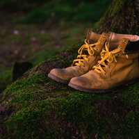 Hiking Shoes and boots