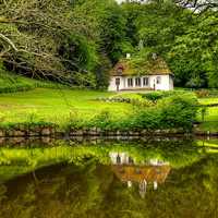 House by the pond in greenery
