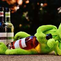 Kermit with a bottle of wine