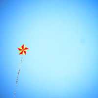 Kite in the Sky