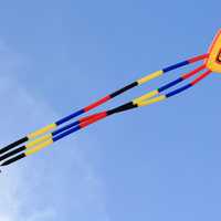 Kite in the sky