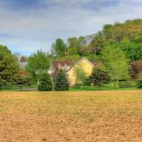 House behind Trees