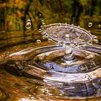 Large Water Droplet hitting water