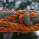 Orange and Brown Rope Knot