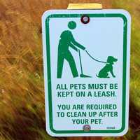 Pet Sign