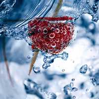 Raspberry in Water