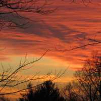 Red Dusk with clouds and branches