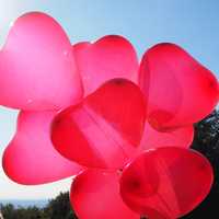 Red Heart Balloons