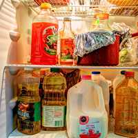 Fridge contents