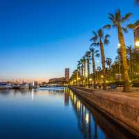 Shoreside with trees by the water