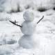 Small Snowman in winter