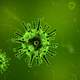 Virus Cells in green dye