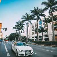 White Audi driving down the road with palm trees