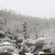 Snowy Trees and steps in Bhurban