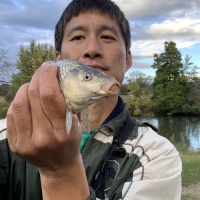 Asian Angler with Common Carp Catch