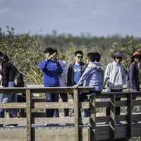 asian-people-on-nature-observation-deck