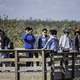 asian-people-on-nature-observation-deck