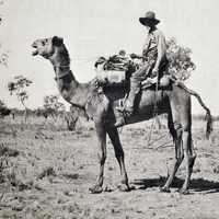 black-and-white-photo-of-michael-terry-riding-a-camel