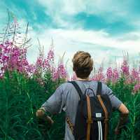 boy-hiking-through-the-tall-grass