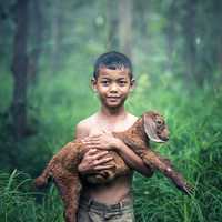 boy-holding-a-dog