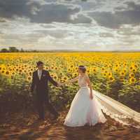 bride-and-groom-in-the-sunflower-field